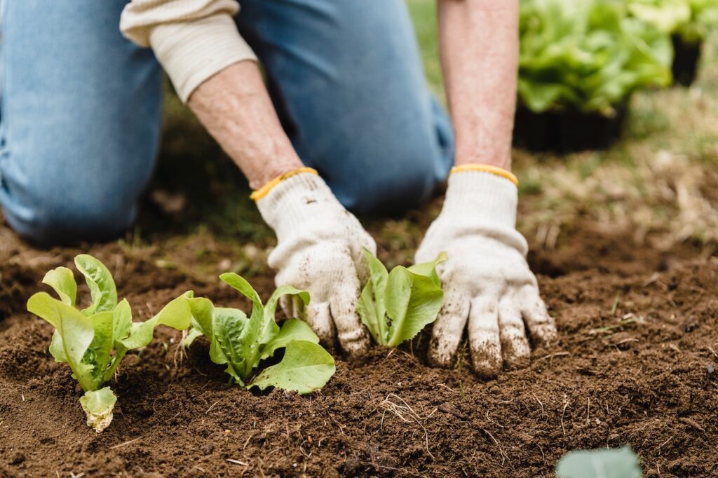 Gift Ideas for the Gardener p1