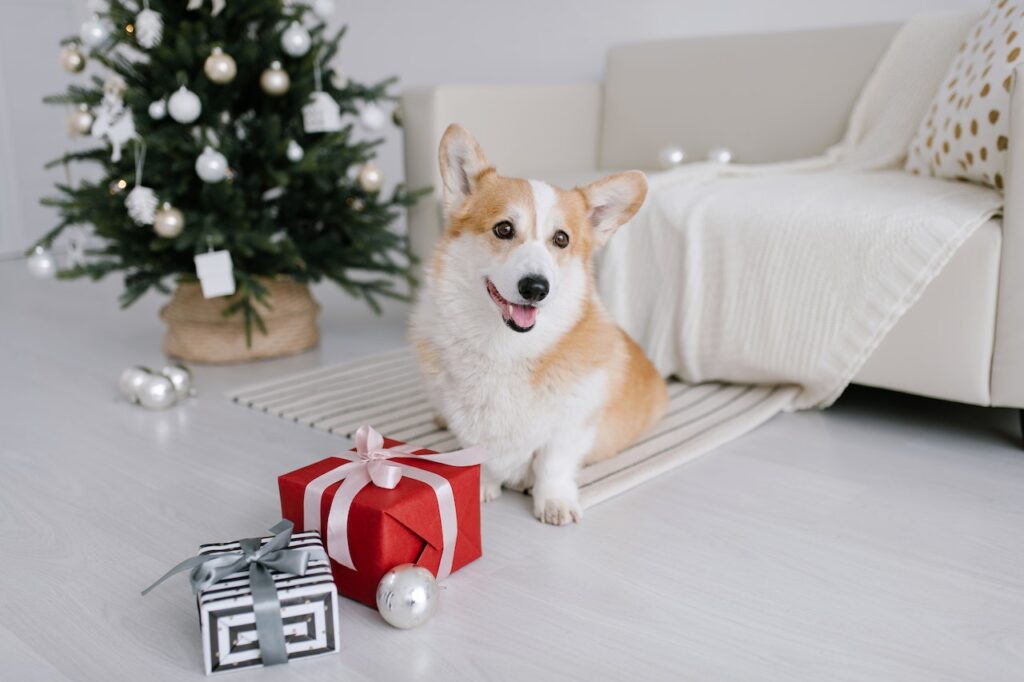  Gifts for pet lovers p1